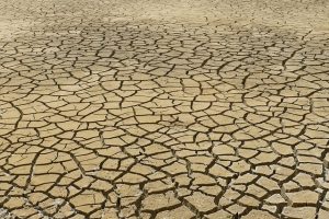 Fixing Foundation Cracks: Comprehensive Guide to Sealing & Waterproofing