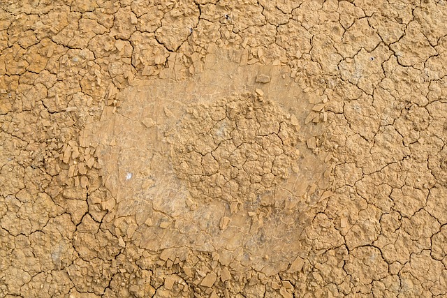 Fixing Foundation Cracks