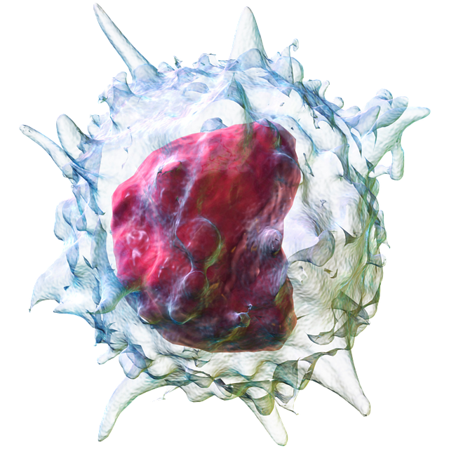 Freeze Fat Cells