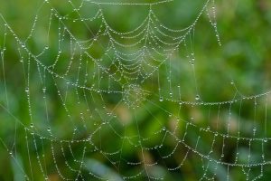 Mastering Full-Service Web Design: From Strategy to Success