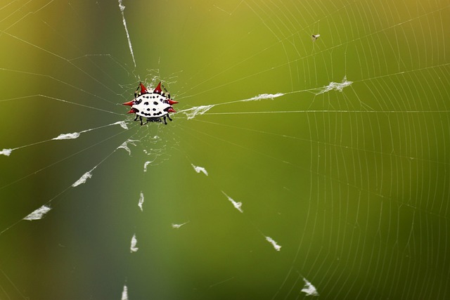 full-service web design