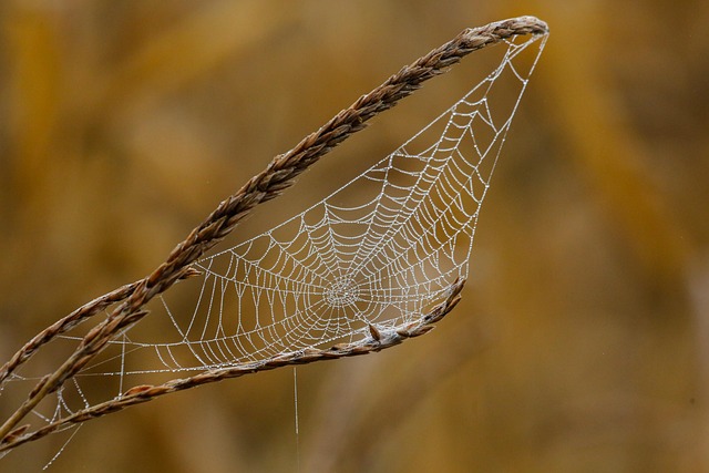 full-service web design