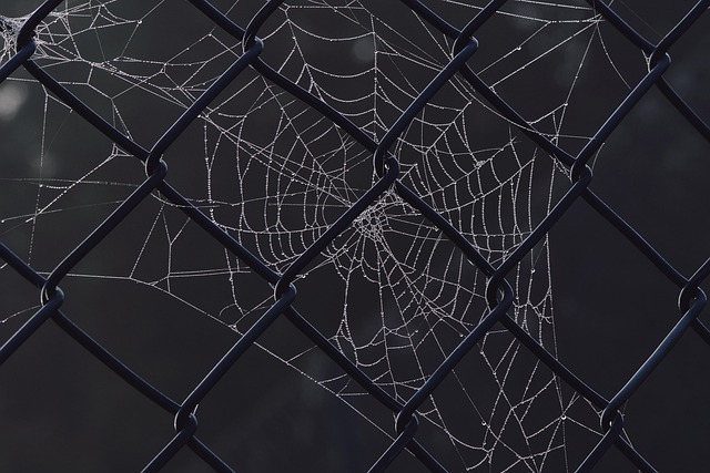 full-service web design