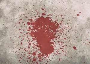 Mastering Grout Stain Removal: Techniques, Tips, and Professional Services