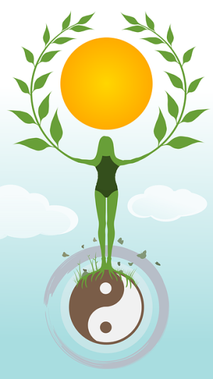 Holistic Spa Revolution: Balancing Mind, Body, Spirit, and Business Success