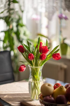 Spring-Ready: Essential Home Maintenance and Storage Tips
