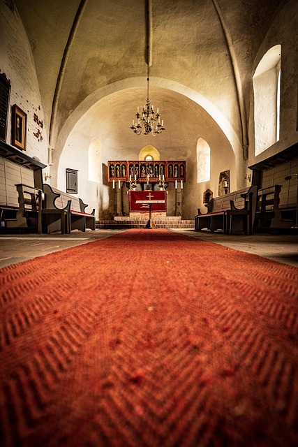 How Often Should Carpets Be Professionally Cleaned?
