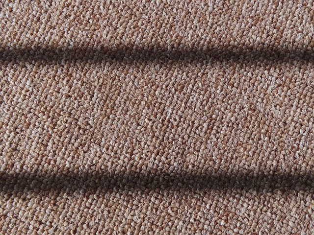 How to Remove Pet Stains from Carpet