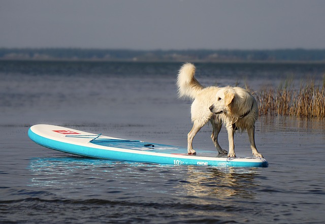 inflatable paddle board