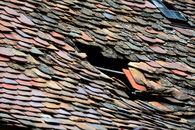 local roofing company