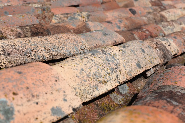 local roofing company