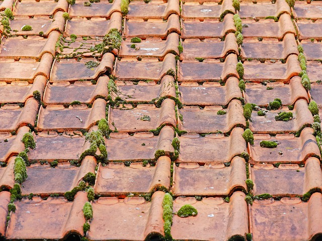 local-roofing-company-640x480-82719564.jpeg