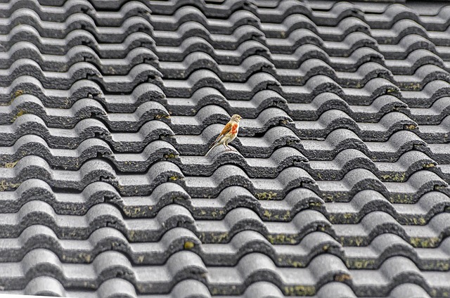 metal-roofing-640x480-46762884.jpeg