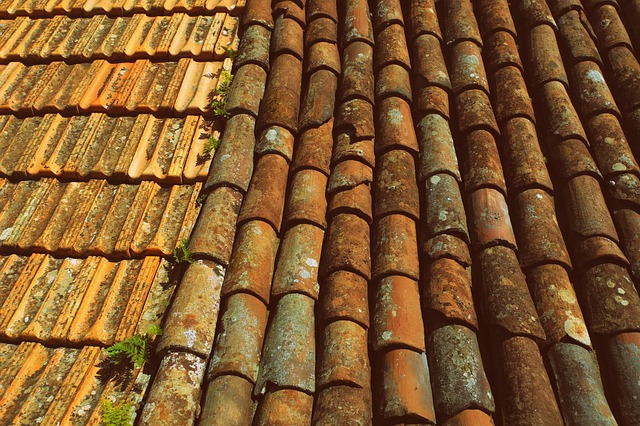 Metal Roofing