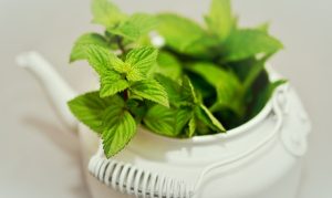 Maximize Travel With Mint CBD Tincture: Tips & Tricks for On-the-Go Relaxation