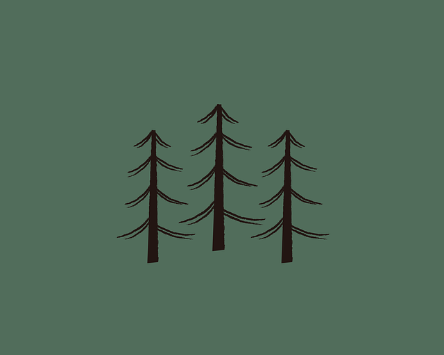 mobile-responsive design