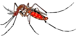 Mosquito & Tick Control: Comprehensive Yard Prevention Guide