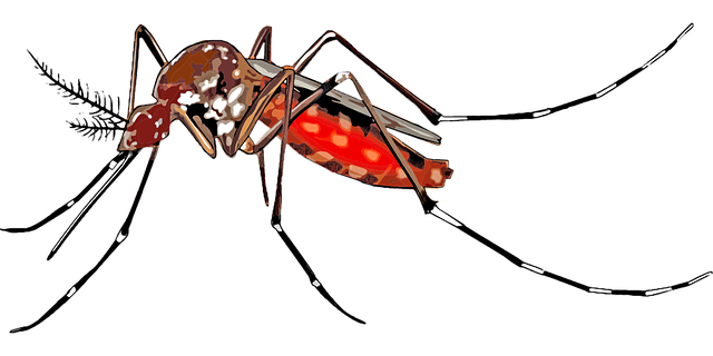 mosquito and tick control