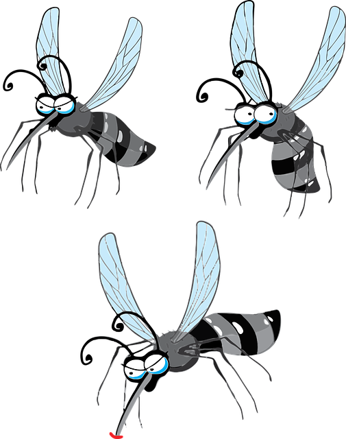 mosquito and tick control