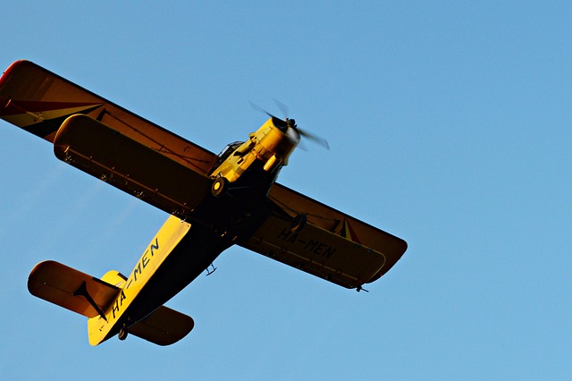 Mosquito Control