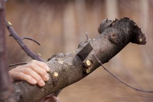 Mastering Odor Removal: Natural to Professional Solutions for Fresh Air