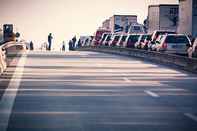 Organic Traffic