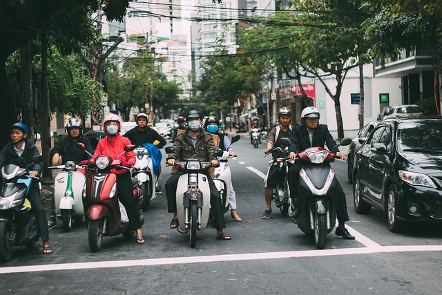 Organic Traffic