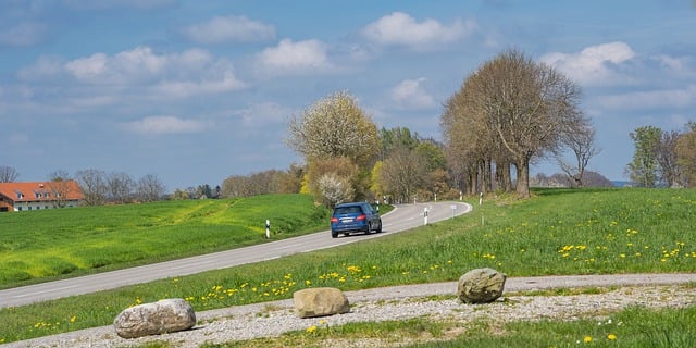 Organic Traffic