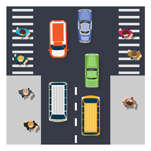 Organic Traffic