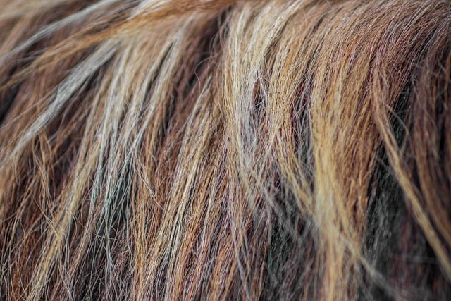 Permanent Hair Removal