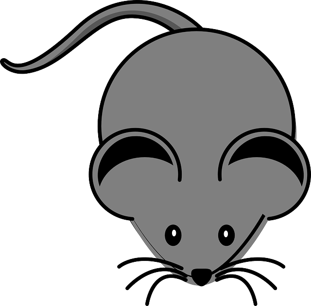 pest exterminator