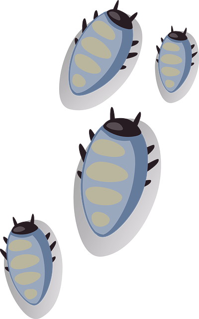 pest exterminator