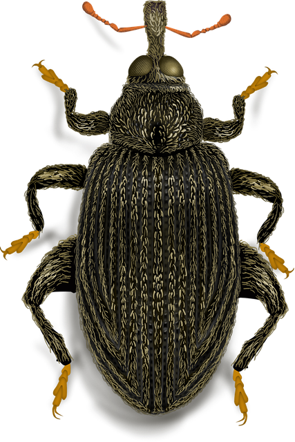 pest exterminator