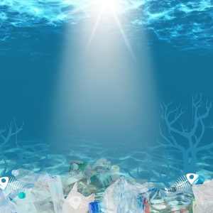 Retaining Patients: Strategies for Plastic Surgeons’ Success