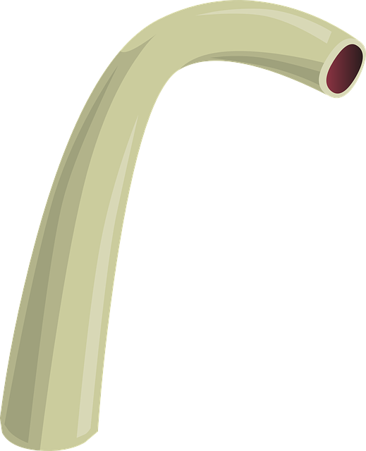 Plumbing Services