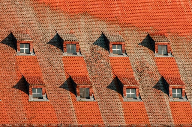 professional roof repair
