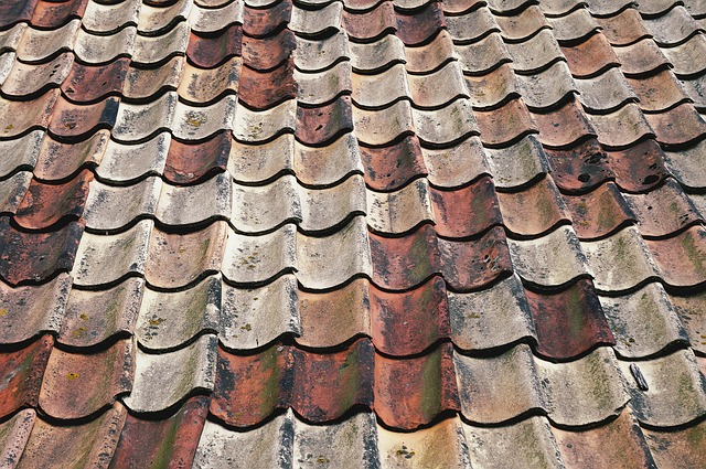 roof inspection services