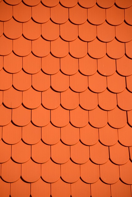 Roof Installation