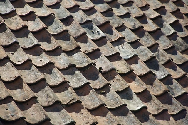 Roof Repair