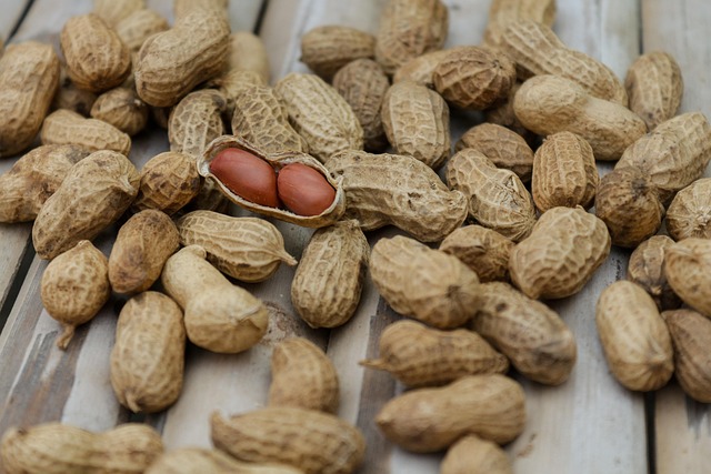 semaglutide diet program