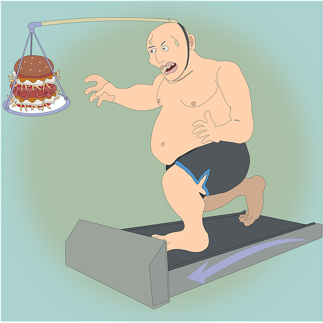 semaglutide obesity medication