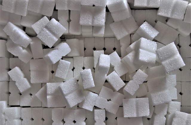 semaglutide obesity medication