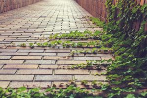 Master SERP Dominance: Comprehensive SEO Growth Strategies Unveiled