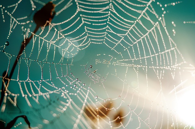 SEO web design