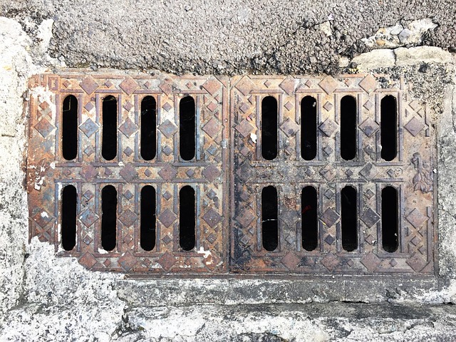 Sewer Repair