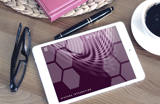 small business web design