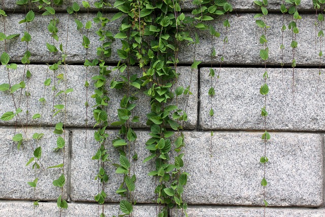 stem-wall-repair-640x480-31116214.jpeg