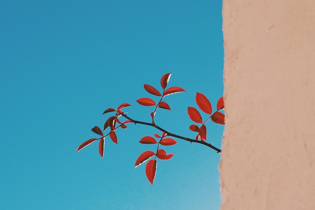 Stem Wall Repair