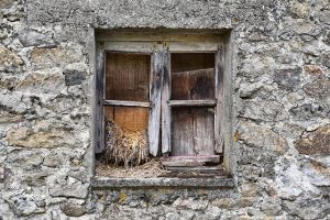 Mastering Stem Wall Repair: Comprehensive Guide to Internal Crack Sealing