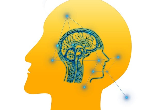 Understanding the Endocannabinoid System